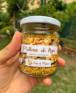 bee pollen granules