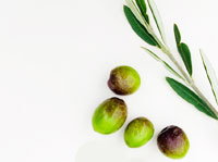 olive leaves