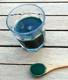 spirulina algae