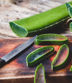 aloe vera enfants