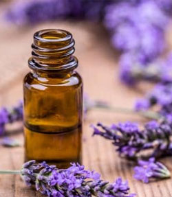 olio essenziale lavanda dermatiti