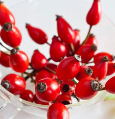 rosehip