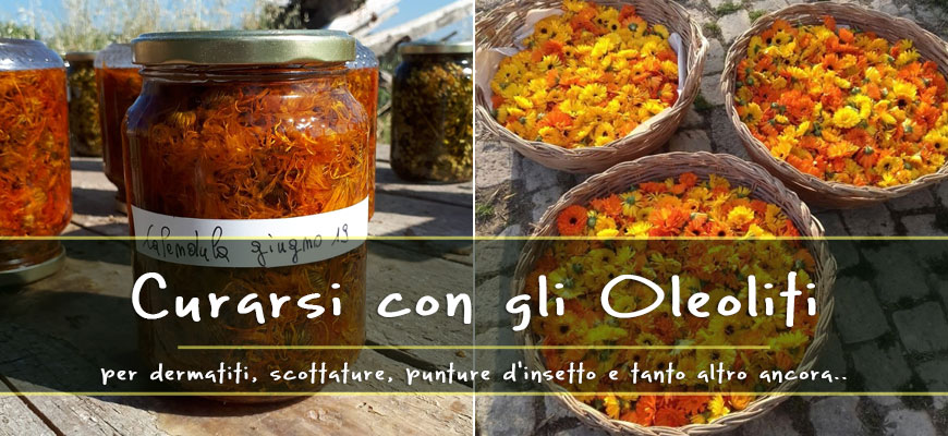 saluer peau oleolites
