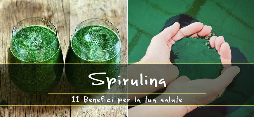 A cosa serve l’alga Spirulina? 11 Benefici per la tua salute