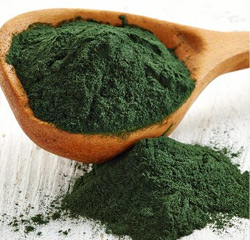 spiruline