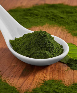 spirulina weight loss