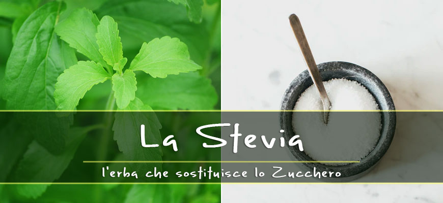 stevia dolcificante naturale