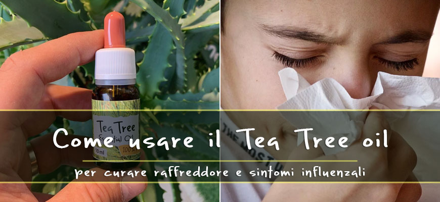 tea tree oil raffreddore sintomi influenzali