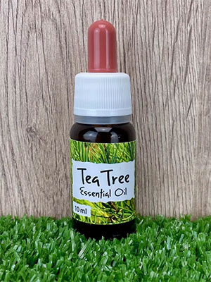 tea tree
