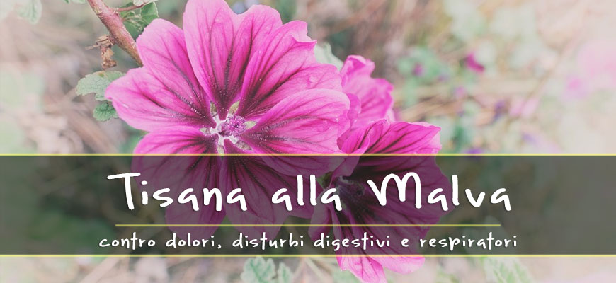 tisane mauve