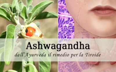Ashwagandha e tiroide: dall’Ayurveda il rimedio per stimolare l’attività tiroidea