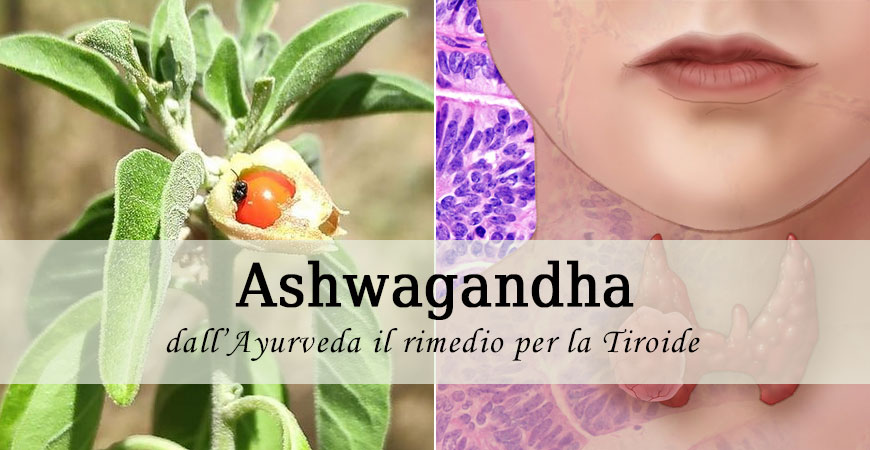ashwagandha tiroide