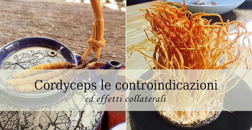 Cordyceps sinensis: Controindicazioni ed effetti collaterali