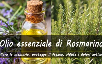 Benefici dell’olio essenziale di Rosmarino: rafforza la memoria, stimola la crescita dei capelli, riduce i dolori….